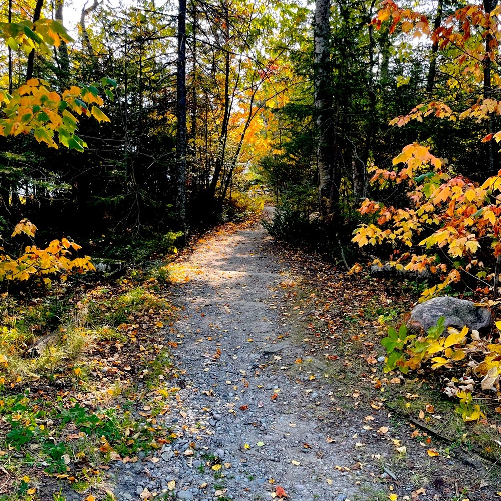 Hi! I’m Sandra and I live on the eastern coast of Lake Superior.
